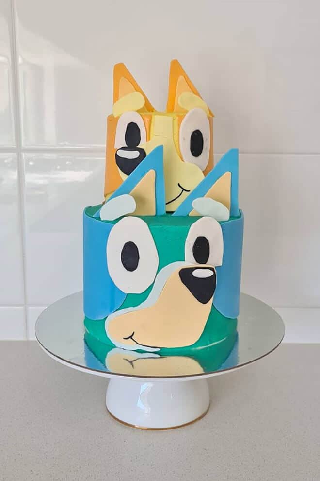 Bluey and bingo cake