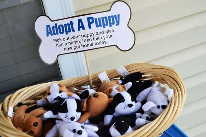 Adopt a puppy