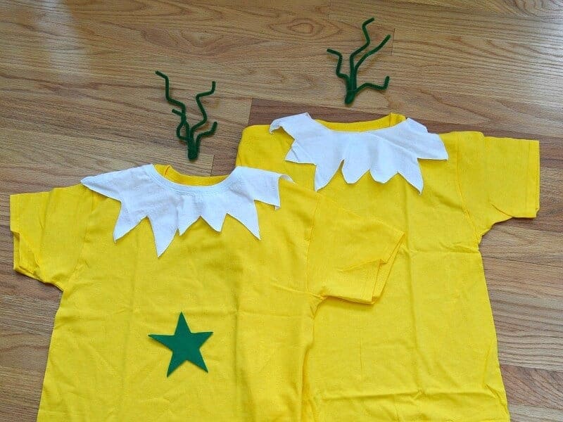 Dr Seuss the sneetches costume