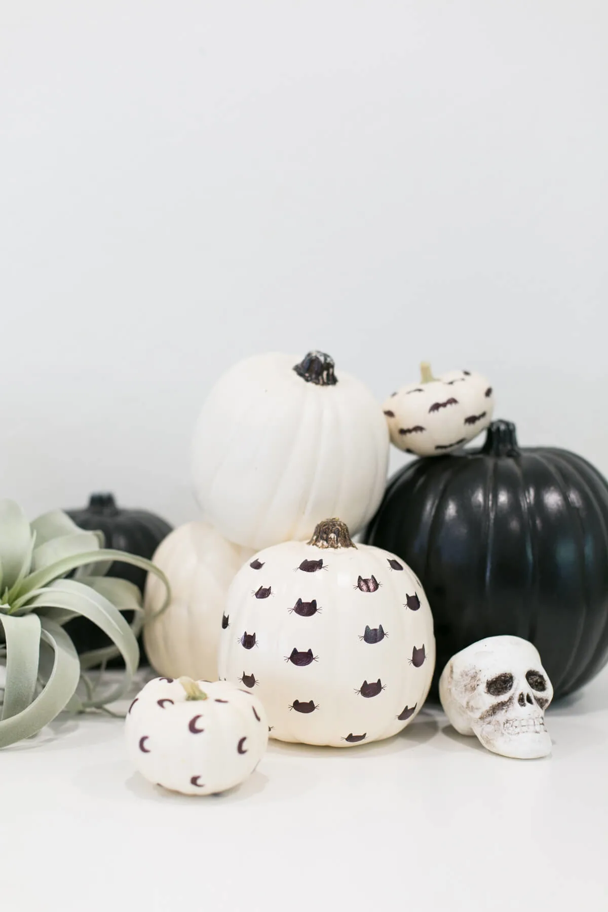 decorated pumpkins