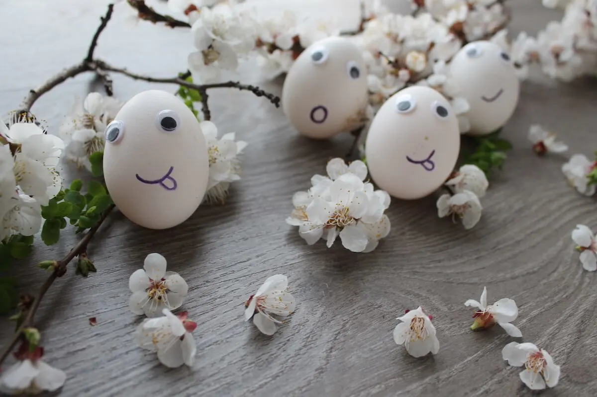 eggs with googley eyes and faces