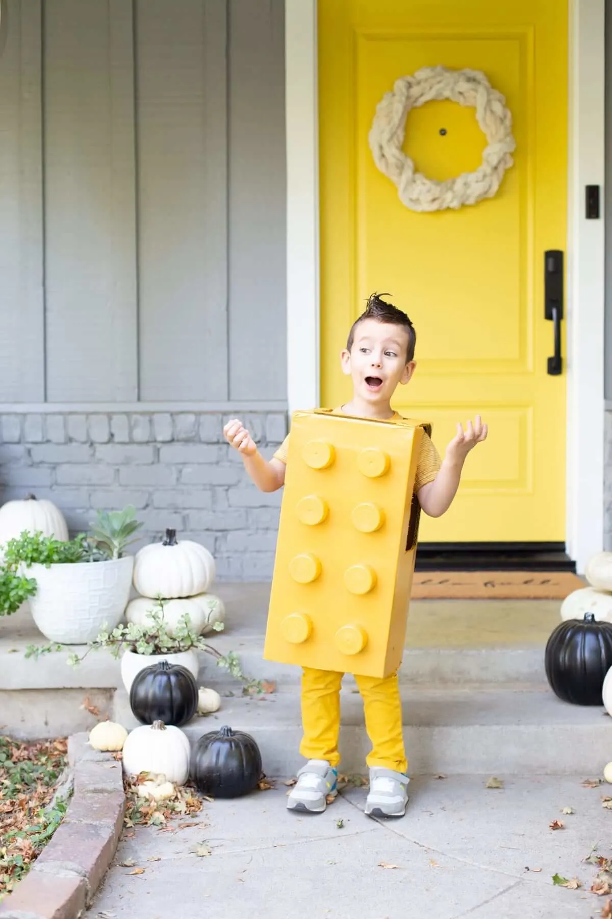 lego costume