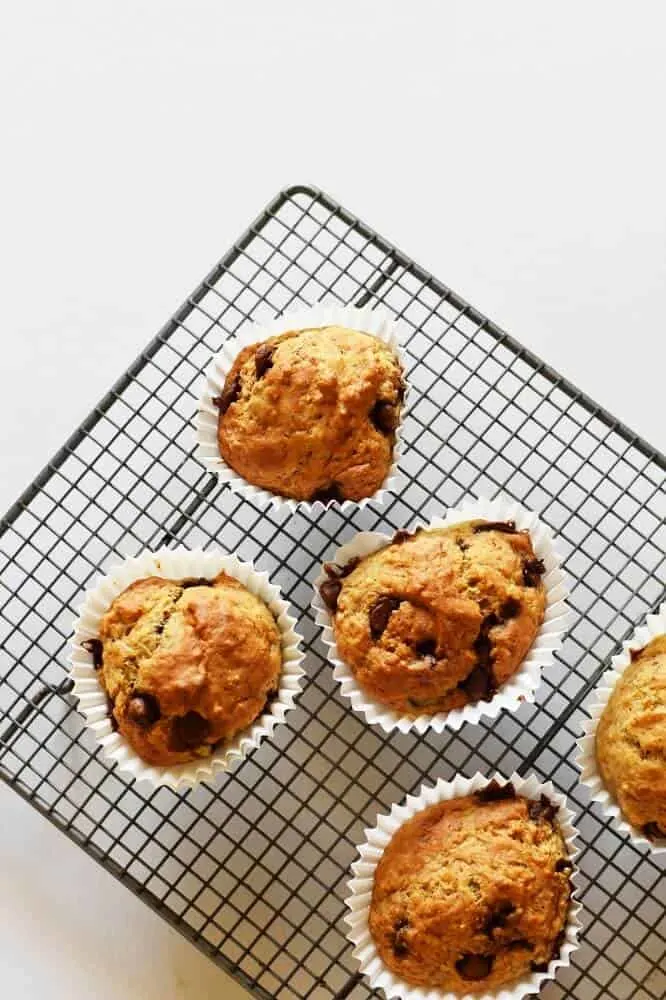 banana chocoalte chip muffins