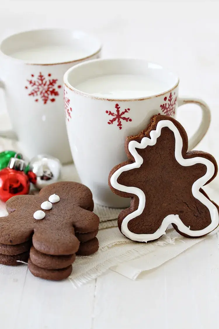 chocolate gingerbread cookies