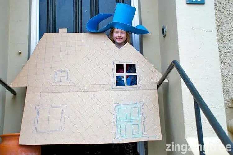 Night Pirates House Costume